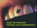 Na rowerze