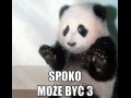 Spoko może być 3