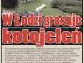Kotojeleń