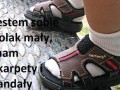 Jestem sobie polak mały
