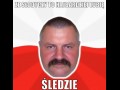 Śledzie