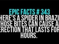 Epic facts