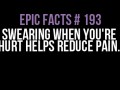 Epic facts 193