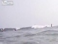 Rekin przeskoczył nad surferem