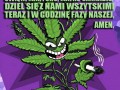 Zdrowaś Marycho
