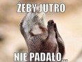 Żeby jutro nie padało