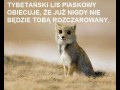 Lis