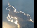 Unicorn!