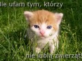 Nie ufam tym, którzy nie lubią zwierząt