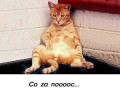 Co za noc...