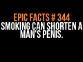Epic facts 344