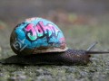 John