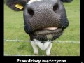 Prawdziwy mężczyzna