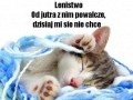 Lenistwo