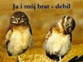 Ja i mój brat debil