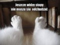 Jeszcze widzę stopy...