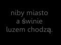 Niby miasto
