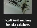 Pajączek