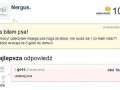 Za biłam psa!