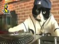 Netia - Dj Kot adin dwa tri