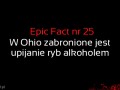 Epicfact pl