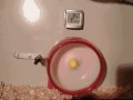 Hammer