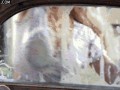 Car Wash