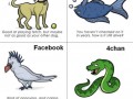 Internet
