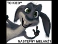 To kiedy następny melanż