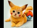 Kittachu