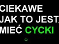 Cycki!!