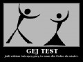 Gej test