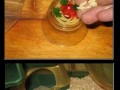 Spagetti dla małego przyjaciela