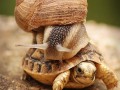 Slow the fuck down!