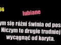 Świnia a poseł