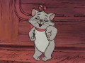 Cat dance