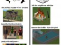 SIMS
