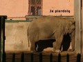 Ja pierdolę...