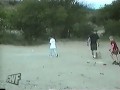 Pies Terrorysta