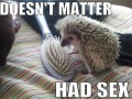 Had sex