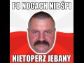 Nietoperz