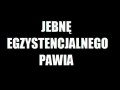 Egzystencjalny paw
