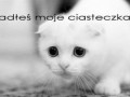 Ciasteczka