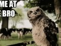 Come at me bro...