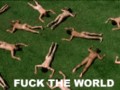 Fuck the world