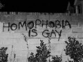 Homofobia
