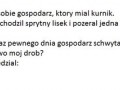 Gospodarz z kurnikiem
