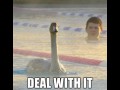Deal with it