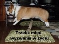 Trzeba mieć wyzwania