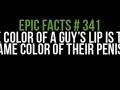 Epic facts 341